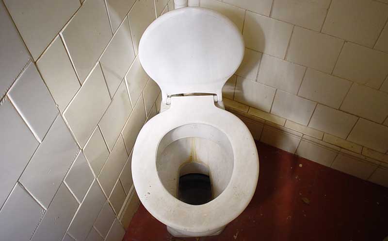 dirty toilet needs cleaning