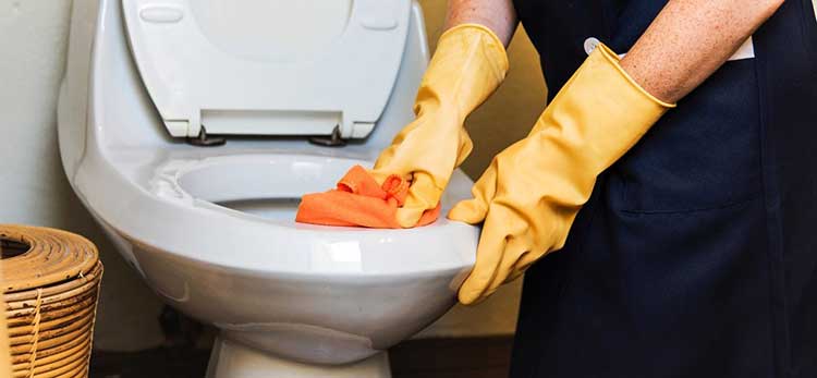 cleaning smelly toilet