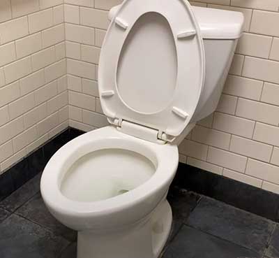 Eljer Diplomat flushing toilet
