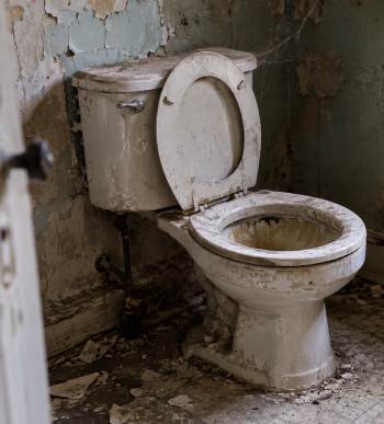 Toilet Not Used For Months