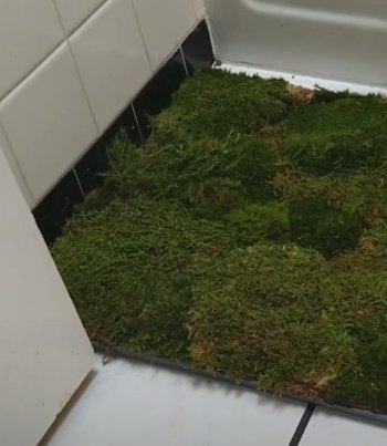 moss bathroom mat