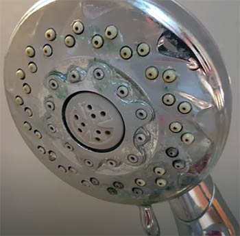 water coming out of shower head