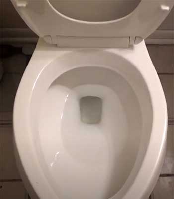 Kohler Gleam toilet