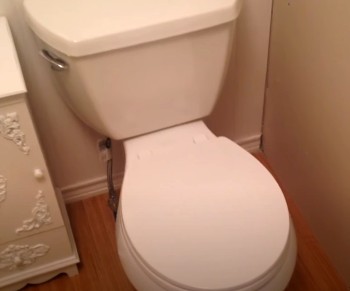 Kohler Wellworth Toilet