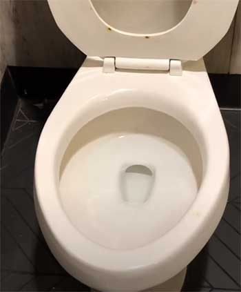 Mansfield Summit Toilet In Bathroom