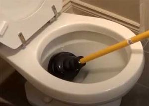 dealing with clogged toilet by poop