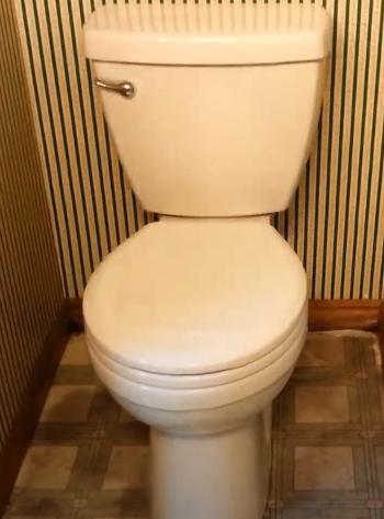 installed Delta Foundation toilet