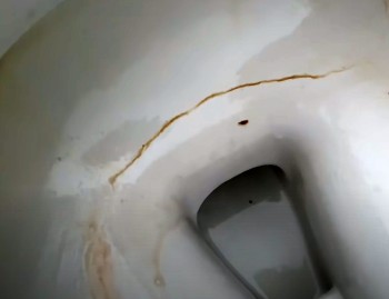 rust in bottom of toilet bowl