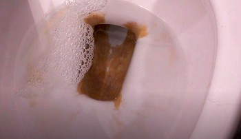 rust in toilet bowl