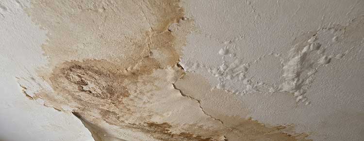 water damaged drywall