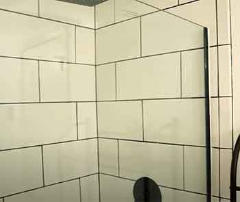 Dreamline shower door