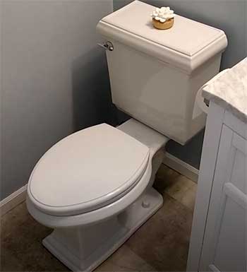 Kohler Memoirs Classic Toilet