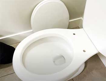 broken toilet seat