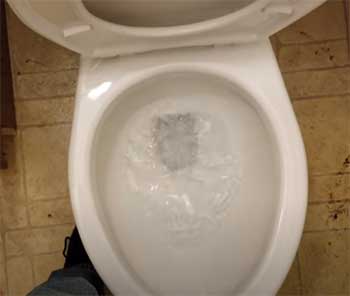 Mansfield Denali toilet