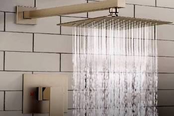 SunCleanse Shower Faucet