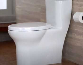 DXV One-Piece Dual Flush Toilet