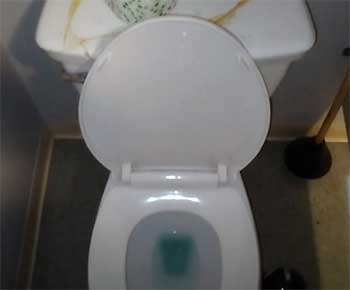 Flushing Toilet From Penguin