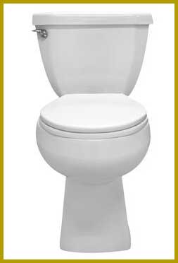 Briggs Glenwood 2-Piece White Tall Elongated Toilet