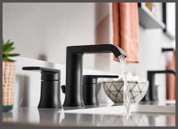 Moen Genta LX Bathroom Faucet