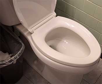 KOHLER Elliston Toilet