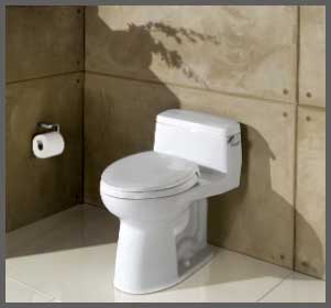 TOTO Supreme® II toilet