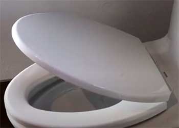 TOTO SS114 Toilet Seat