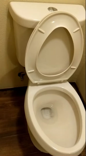 Glacier Bay Dual flush Toilet 