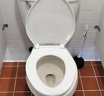 Mansfield Summit Toilet