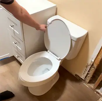  Project Source toilet