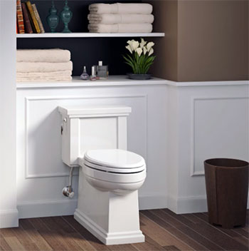 Skirted Toilet 