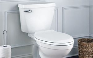 American Standard Titan Toilet Problems: Reasons And Troubleshooting