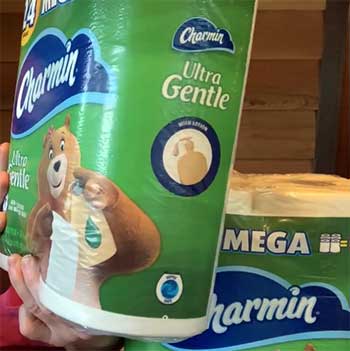 Charmin Ultra Gentle