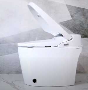 Homary Floor Mount Elongated Automatic Toilet