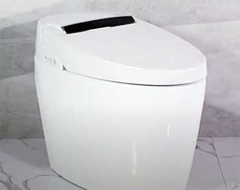 Homary Floor Mount Elongated Toilet