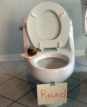 Round Toilet