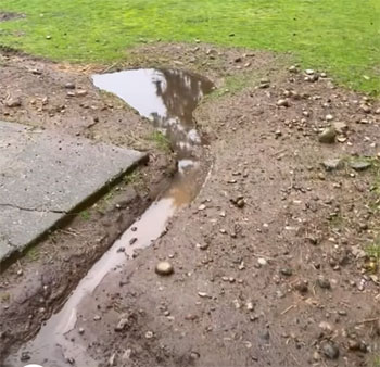 Swale drainage
