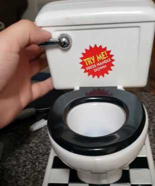 flushing toilet