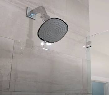 Canopy Showerhead