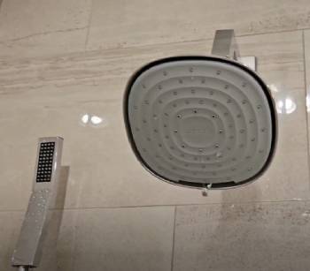 Canopy Showerhead