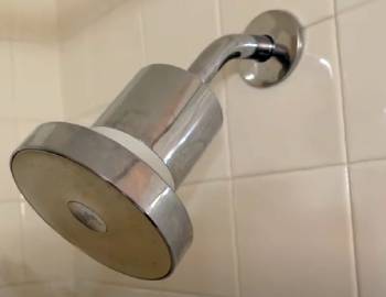 Jolie showerhead