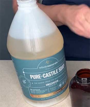 Whole Naturals Castile Soap