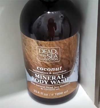 Dead Sea Collection Coconut Body Wash