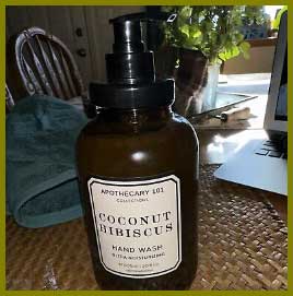 Home and Body Apothecary 101 Hand Soap