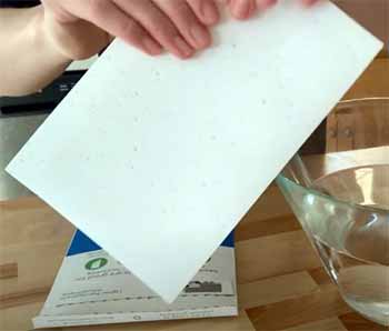 Beyond Laundry Detergent Sheets