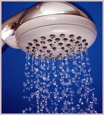 Nuvera Shower Head