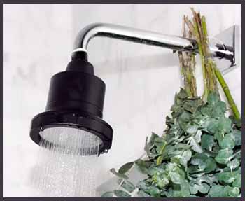 Nuvera Shower Head