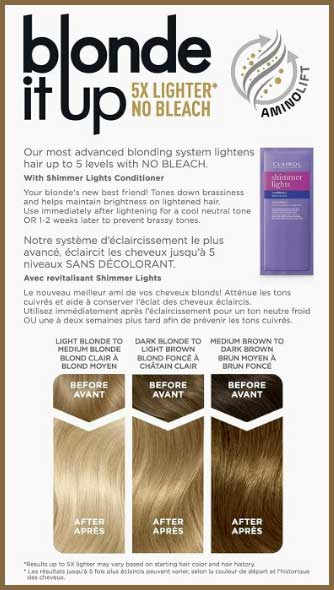 Clairol Blonde It Up Permanent Hair Dye