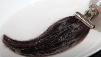 kiwabi color shampoo