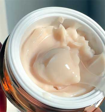Estée Lauder Moisturizer