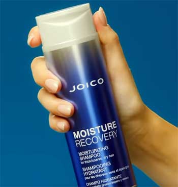 Joico Moisture Recovery Shampoo